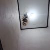 Gempar…..!!! Dua Terdakwa Bobol Plafon Ruang Tahanan PN Tapaktuan Dan Melarikan Diri
