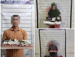 Tuntas Sampai Akar, Polres Aceh Selatan Bekuk Jaringan Ganja Mulai dari Pengedar Hingga Petani