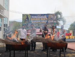 Komitmen Bersihkan Aceh Selatan dari Narkoba: 110 Batang Ganja Hasil Ladang Ilegal Dimusnahkan Secara Terbuka