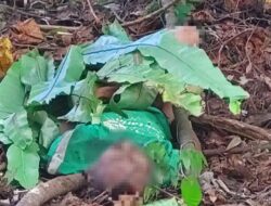 Pasca Ditemukan di Pinggir Krueng, Identitas Jenazah di Kluet Selatan Masih Menjadi Teka-teki