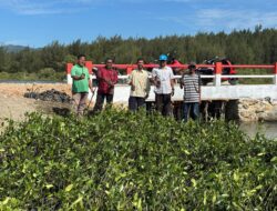 DLHK Aceh Fasilitasi Penanaman 19.200 Batang Mangrove di Lamteh Peukan Bada