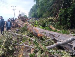 Angin Kencang dan Hujan Deras Picu Pohon Tumbang serta Longsor di Jalur Nasional Aceh Selata