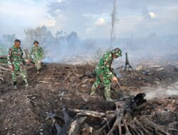 Gerak Cepat Personel TNI, Polri, BPBD Aceh Selatan, Padamkan Api di Gampong Drien