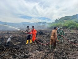 Hampir Tiga Hari Berkobar, Karhutla di Aceh Selatan Mulai Reda
