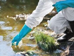 Hasil Lab DLH, Sejumlah Parameter Air Krueng Luas Lampaui Baku Mutu